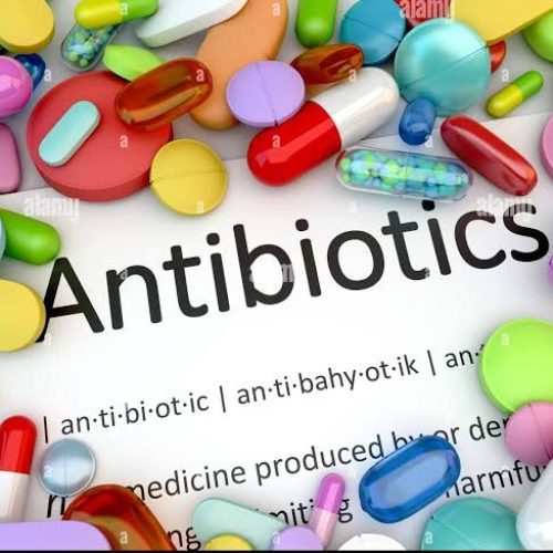 WhatsApp_Image_2025-07-06_at_21.07.22_5700768e WhatsApp_Image_2025-07-06_at_21.07.22_5700768e